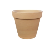 ΦΥΤΩΡΙΟ ΜΠΕΖ