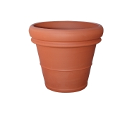 ΝΤΟΜΠΙΟ ΜΠΟΡΝΤΟ