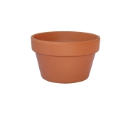 ΦΥΤΩΡΙΟ ΧΑΜΗΛΟ